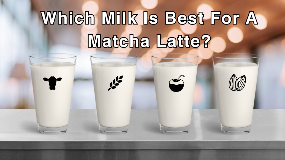 The Best Milk for Matcha Lattes: A Complete Guide