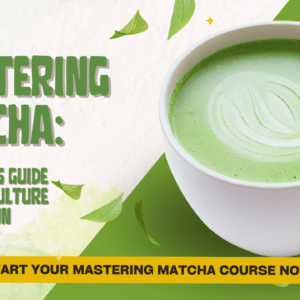 Mastering Matcha: A Barista's Guide To Craft, Culture & Perfection
