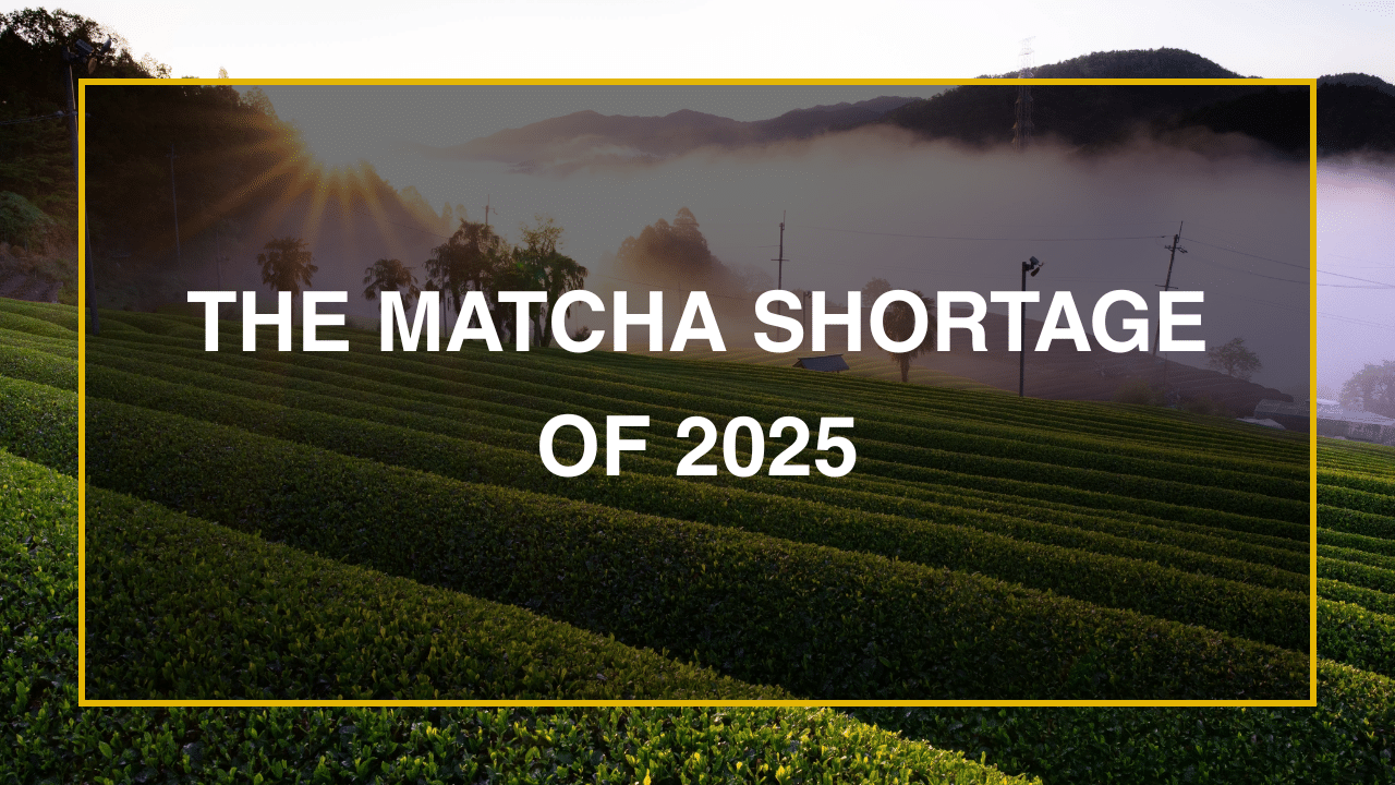 The Matcha Shortage of 2025_RWGolden Ceremonial Grade Matcha